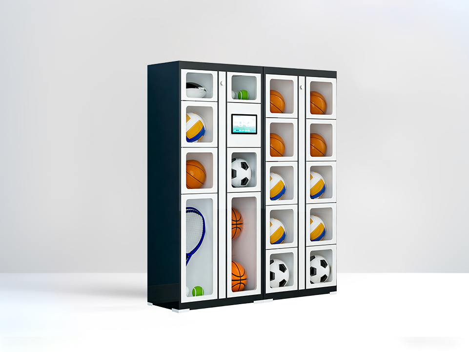 Logistics Hub Smart Locker