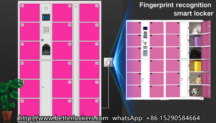 fingerprint locker